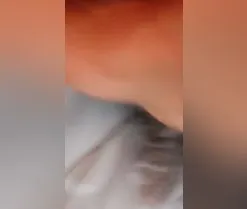 parapap