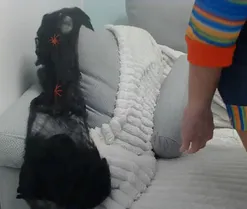 Rubiaprincess